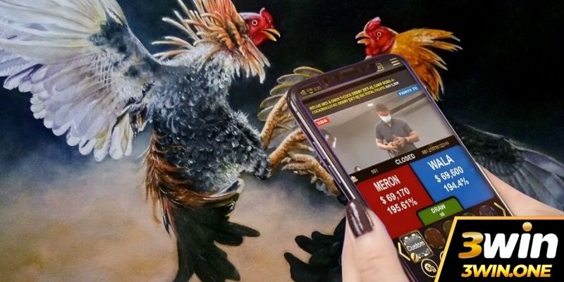 Điểm danh mẹo cá cược đỉnh cao cho anh em